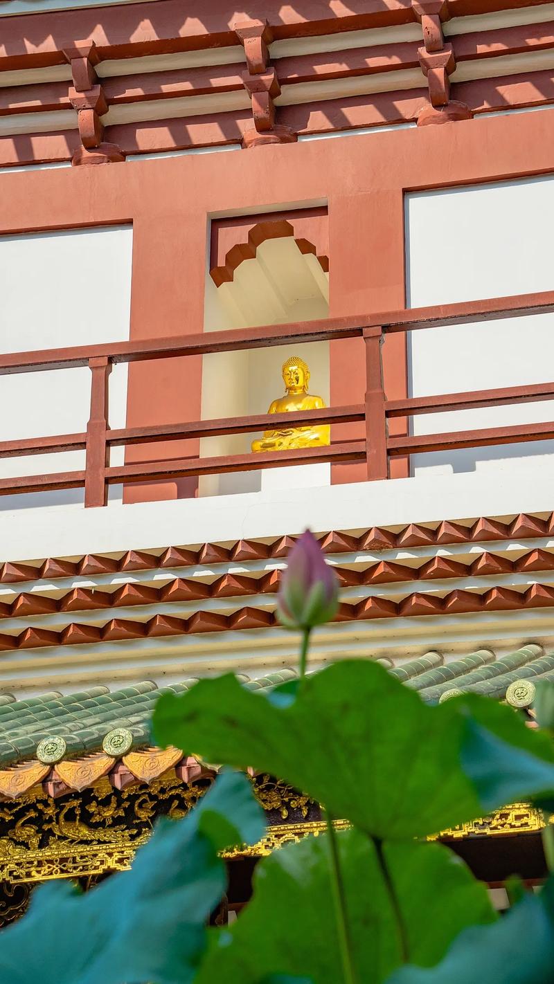 装修和风水禁忌有哪些区别(装修和风水的禁忌如何看新房风水)